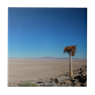 Namibia Tirool Namib Wüste Landschaft Kokerboom Fliese