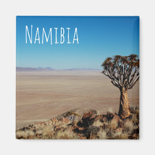 Namibia Tirool Namib Wüste Landschaft Kokerboom Magnet