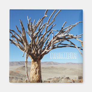 Namibia Tirool Namib Wüste Landschaft Kokerboom Magnet