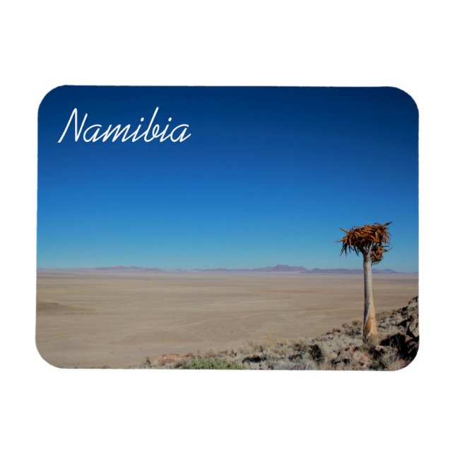 Namibia Tirool Namib Wüste Landschaft Kokerboom Magnet (Horizontal)