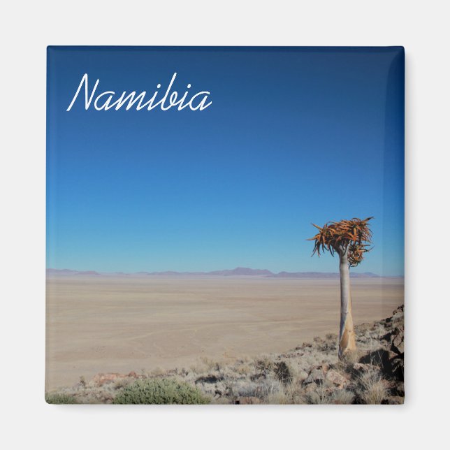 Namibia Tirool Namib Wüste Landschaft Kokerboom Magnet (Vorne)