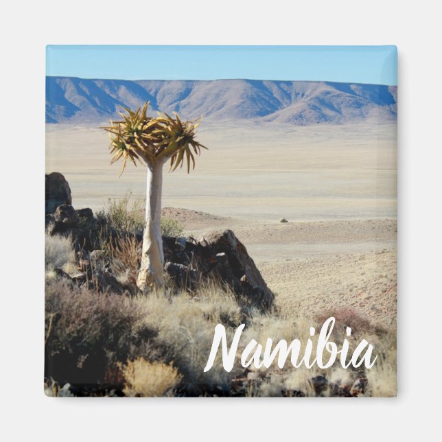 Namibia Tirool Namib Wüste Landschaft Kokerboom Magnet (Vorne)