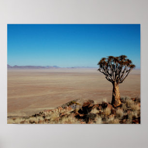 Namibia Tirool Namib Wüste Landschaft Kokerboom Poster