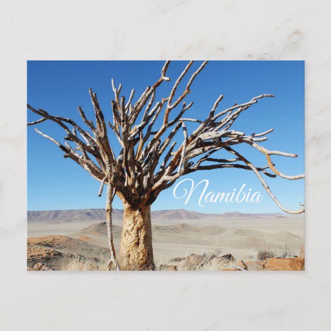 Namibia Tirool Namib Wüste Landschaft Natur Postkarte (Vorderseite)