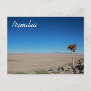Namibia Tirool Namib Wüste Landschaft Natur Postkarte