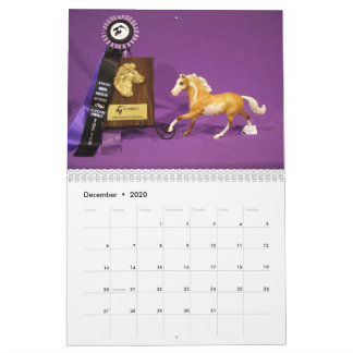 NAN 2018 Breyer Collectability Champions Calendar Kalender