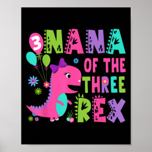 Nana der drei Rex Dinosaurier T-rex 3. Geburtstag Poster
