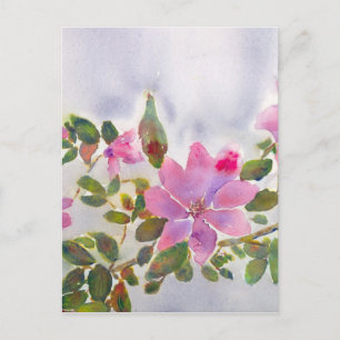 Nanas Rose Postkarte