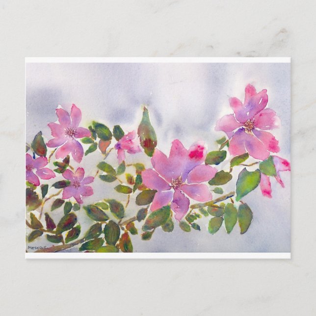 Nanas Rose Postkarte (Vorderseite)