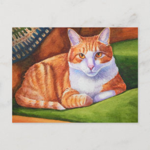 Nancy's Widget Postkarte