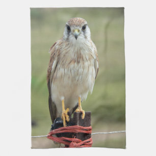 Nankeen Kestrel Geschirrtuch