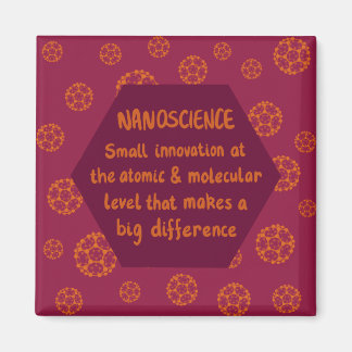 Nanowissenschaft Fullerene Magnet