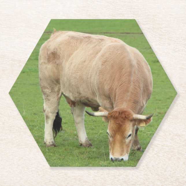 Nantaise Kuh im Feld Untersetzer (Vorderseite)