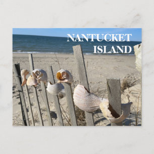 Nantucket Beach Muscheln auf einer Zaun-Postkarte Postkarte