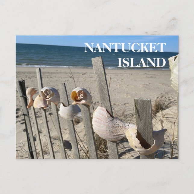 Nantucket Beach Muscheln auf einer Zaun-Postkarte Postkarte (Vorderseite)