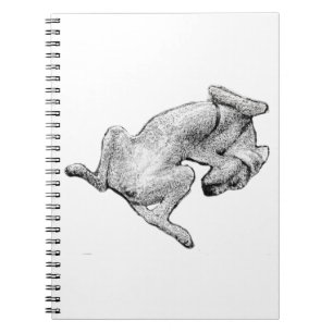 Nap Notes – Entspannter Hund Kunst Notizbuch Notizblock