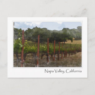 Napa Tal California Weinroute Mendrisiotto Postkarte