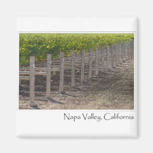 Napa Valle California Weinberg Magnet