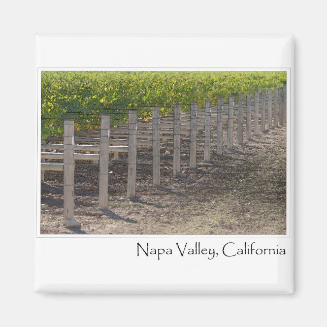 Napa Valle California Weinberg Magnet (Vorne)