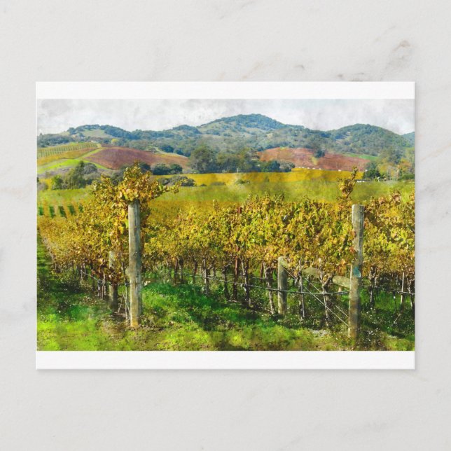Napa Valle California Weinberg Postkarte (Vorderseite)
