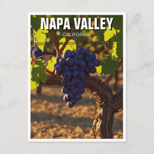 Napa Valley California Senf Blume Postkarte