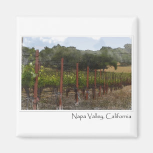 Napa Valley California Weinroute Mendrisiotto Magnet