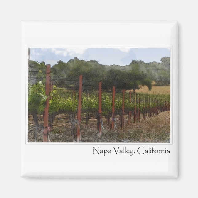 Napa Valley California Weinroute Mendrisiotto Magnet (Vorne)