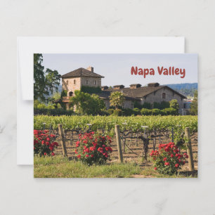 Napa Valley, Kalifornien Weinberg im Sommer Postkarte
