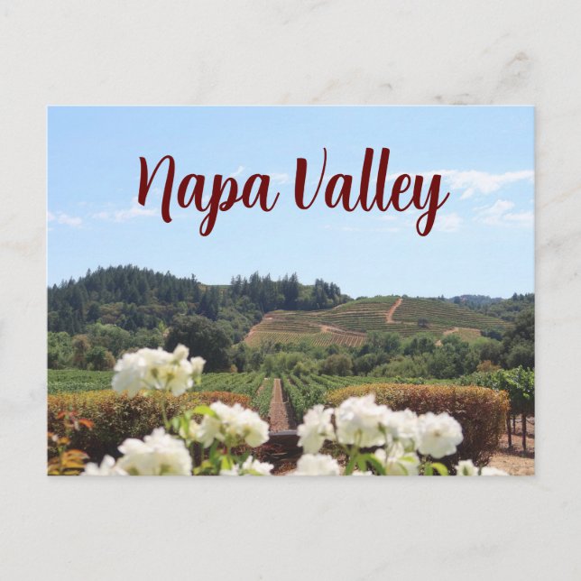 Napa Valley, Kalifornien Weinberge und Blume Postkarte (Vorderseite)