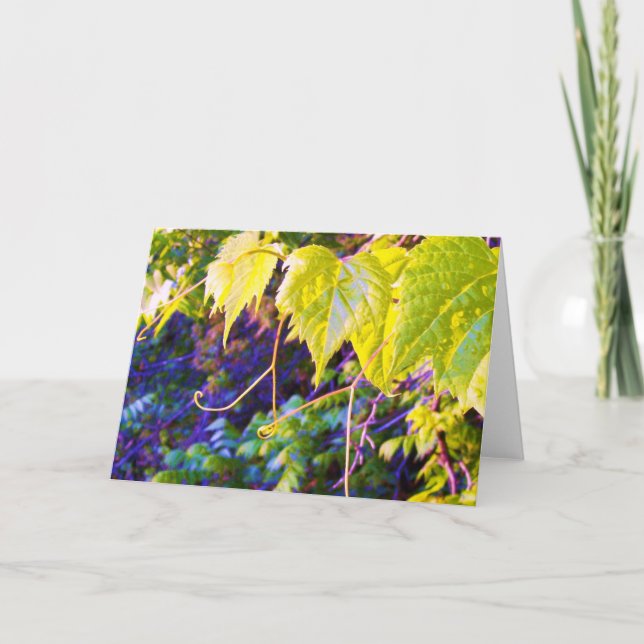 Napa Valley Karte (Vorderseite)