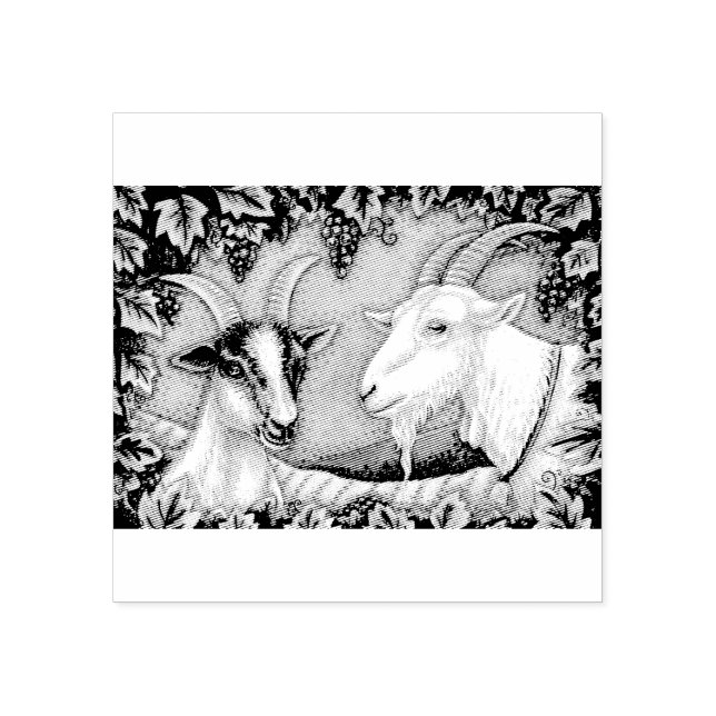NAPA VALLEY KID & BILLY GOAT RUBBER BRIEFMARKE *Ma Gummistempel (Prägung)