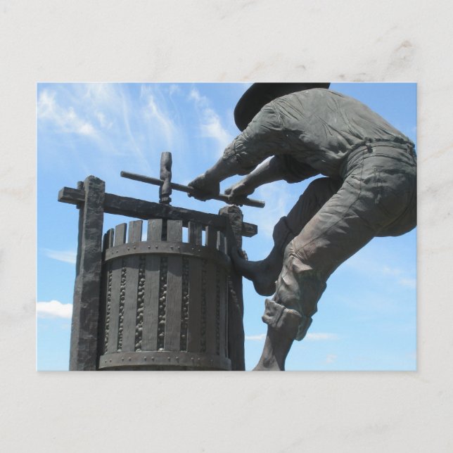 Napa Valley Postcard Postkarte (Vorderseite)