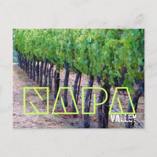 Napa Valley Postcard (Wein) Postkarte