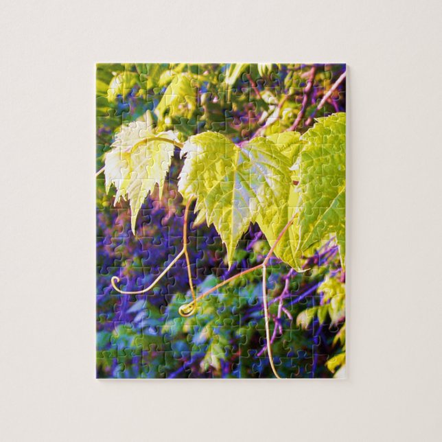 Napa Valley Puzzle (Vertikal)