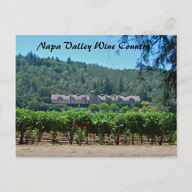 Napa Valley Wein Weinroute Postkarte (Vorderseite)