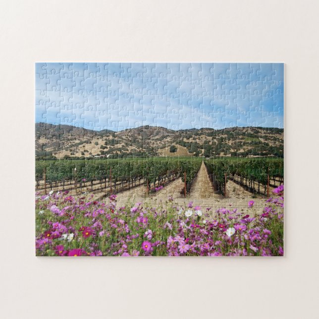 Napa- Valleyweinberg zur Ernte-Zeit mit Kosmos Puzzle (Horizontal)