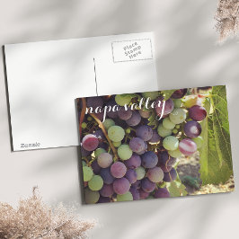 Napa Vineyard Rote und Grüne Trauben Postkarte