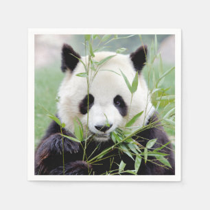 Napkins Foto Riesenpanda , Tiere 0302. Serviette