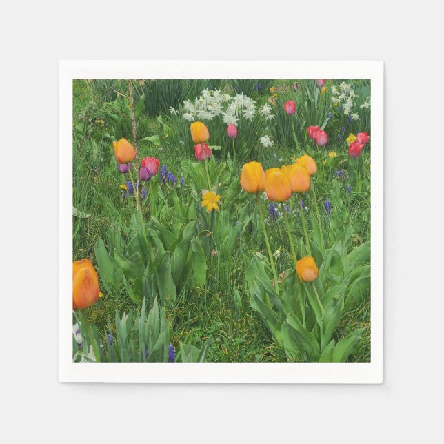 Napkins Serviette (Vorderseite)