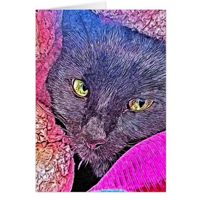 Napoleon in einer Decke (Vorne)