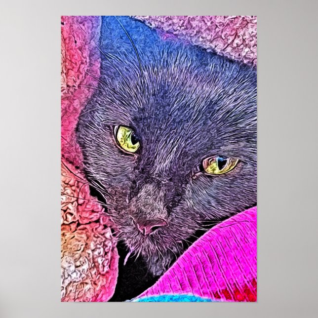 Napoleon in einer Decke Poster (Vorne)