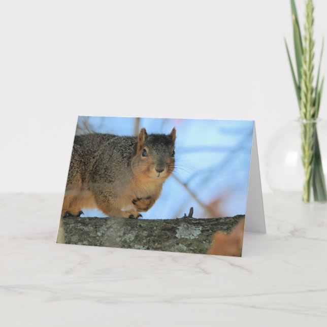 Napoleon Karte (Vorderseite)