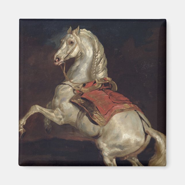 Napoleons Hengst, Tamerlan Magnet (Vorne)