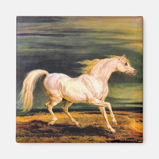 Napoleons Marengo Magnet (Vorne)