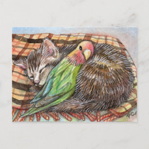 Napping Buddy Postkarte
