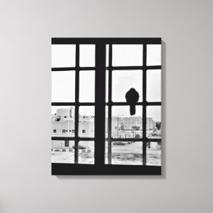 Napping Dove Leinwanddruck