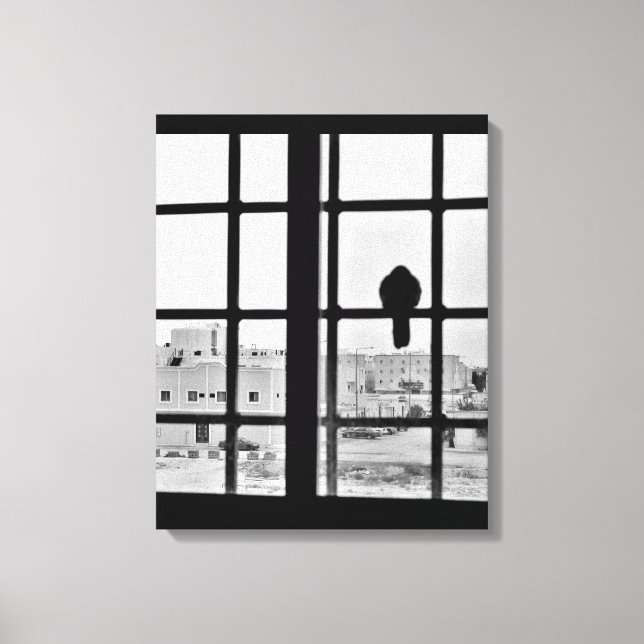 Napping Dove Leinwanddruck (Vorderseite)