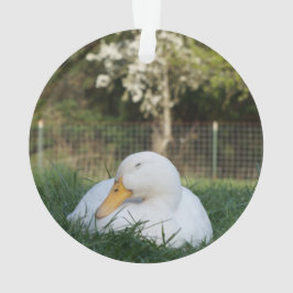 Napping-Ente Ornament