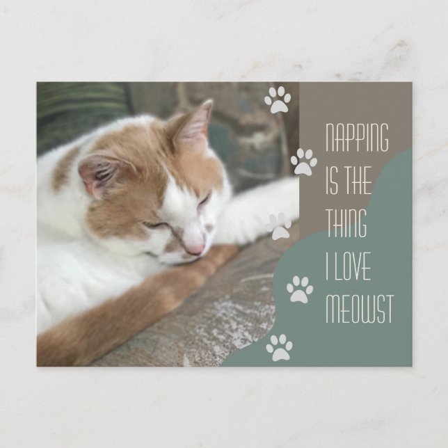 Napping ist das, was ich Liebe als Cat bezeichne Postkarte (Vorderseite)