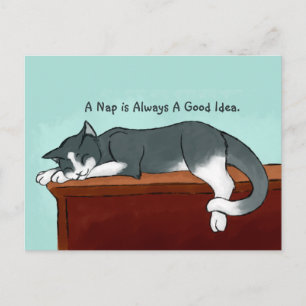 Napping Kitty Postkarte